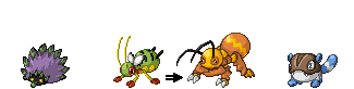 Some Okano Region Pokemon