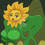 Sunflower - Buds