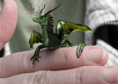 Dragons are Real