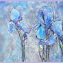 Irises