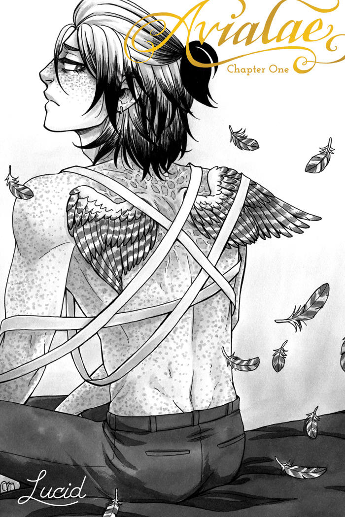 Avialae Character Avialae Ch1 (PREORDERS OPEN) by llllucid on DeviantArt