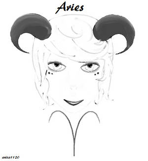 Aries profile