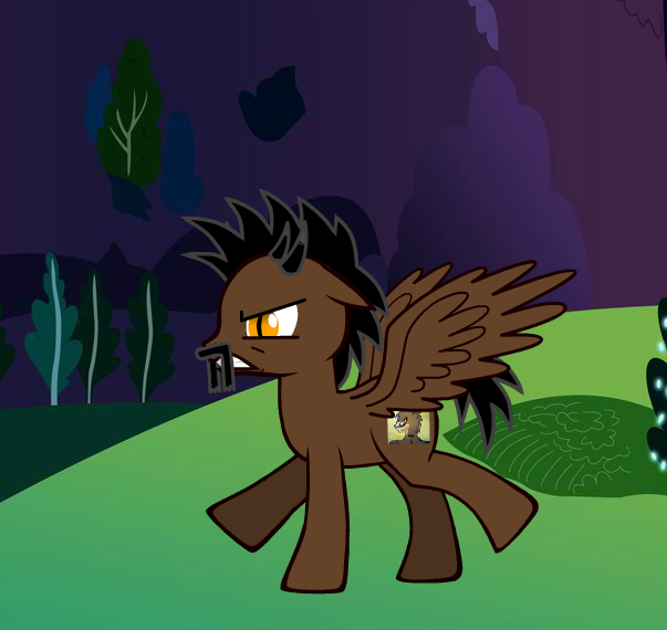 Don Pony Version