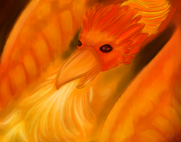 Fire Bird 