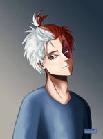 Todoroki Shouto