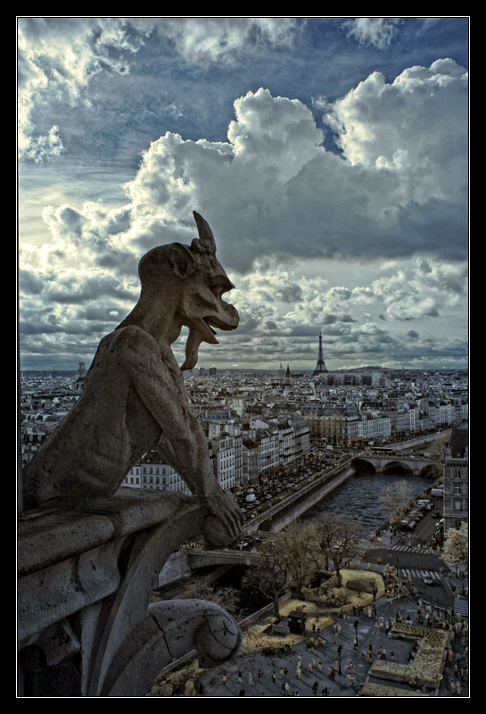 A Room With A View - IR