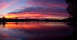 Untitled Panorama by DustinWheeler