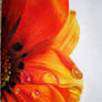colored pencil flower