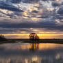Beautiful Morning