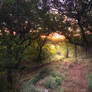 Good Morning Deviant Art!