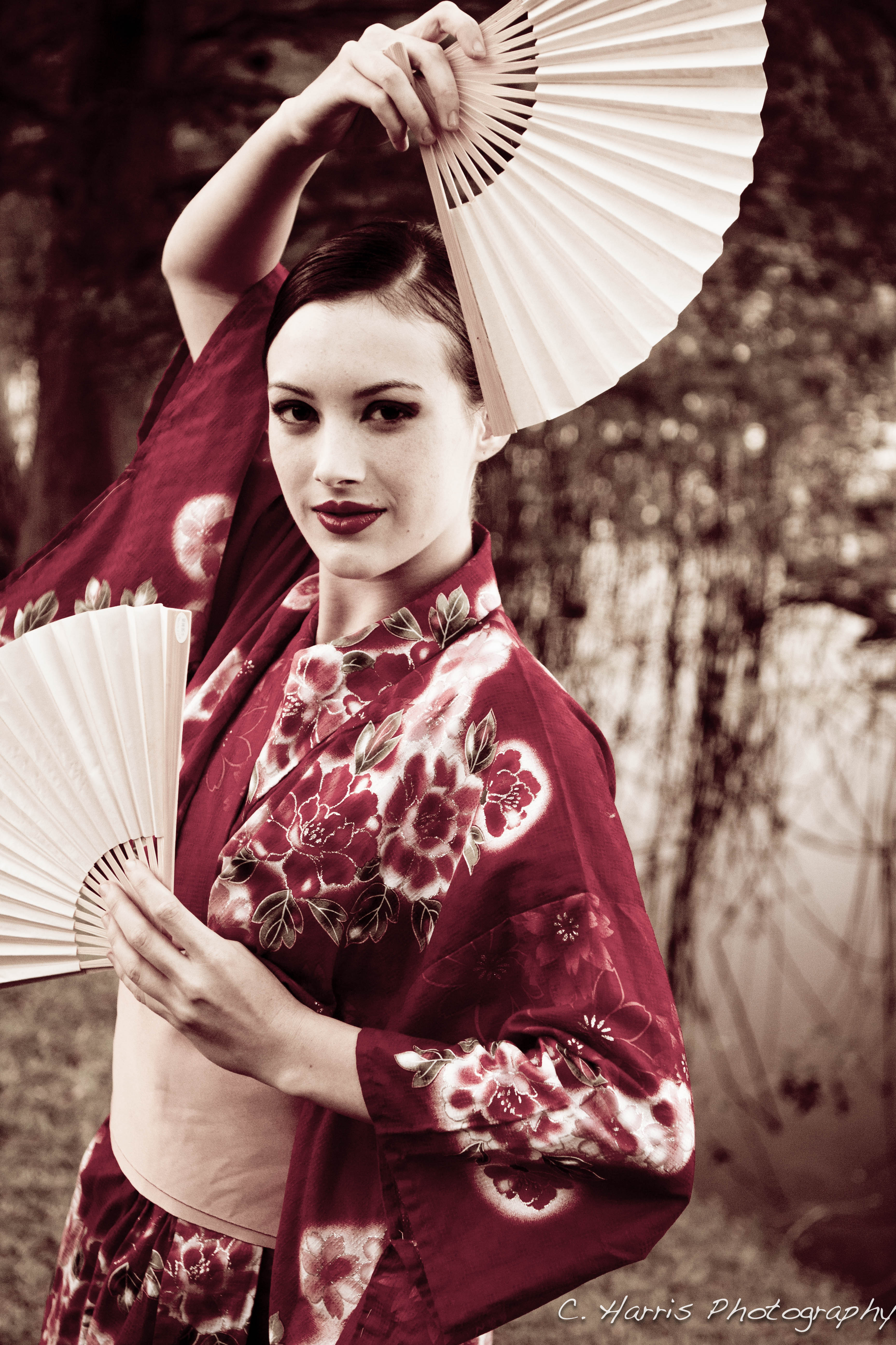 Geisha girl 3