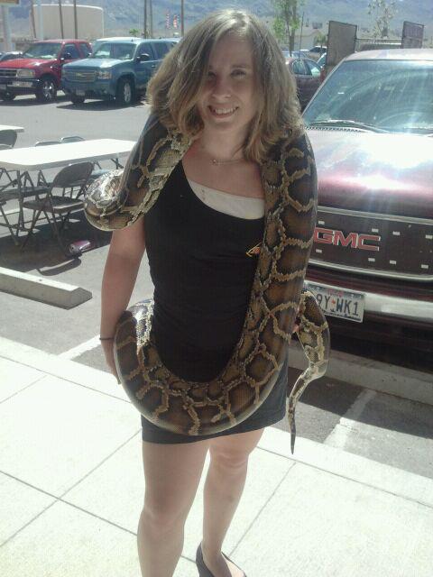 Burmese Python by RinnieBoo42 on DeviantArt