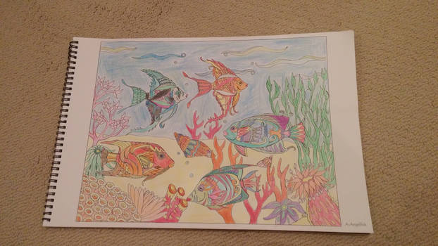 Color Me: Angelfish