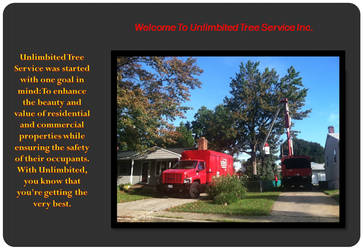 Tree Removal, Tree Pruning Columbia, MD