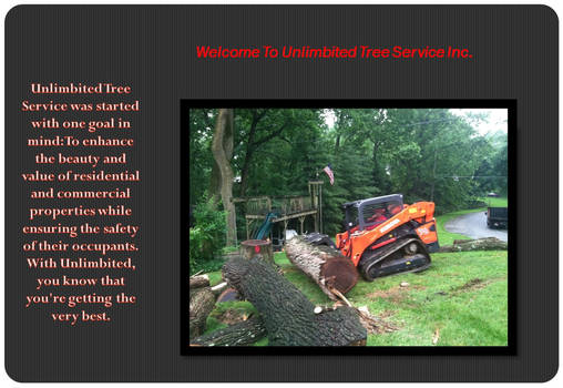 Tree Service, Tree Trimming Bowie, MD, Tree Care