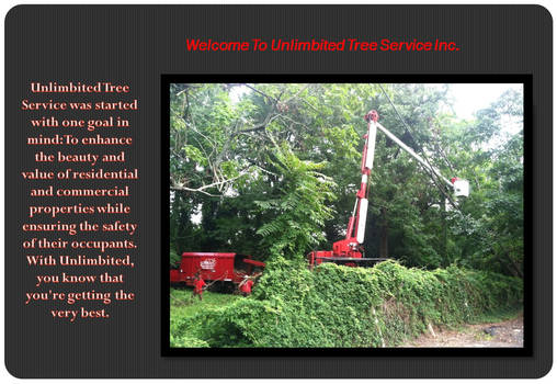 Tree Trimming, Tree Service Annapolis, MD