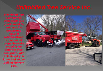Tree Care Tips, Tree Service Baltimore