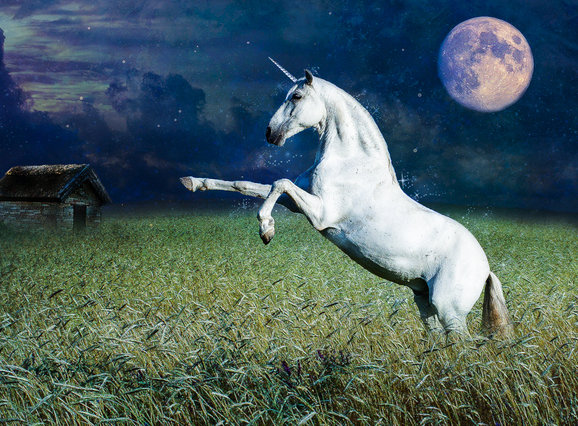 Unicorn In The Field At Night