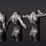 Male Torso: Back arm rotation sequence