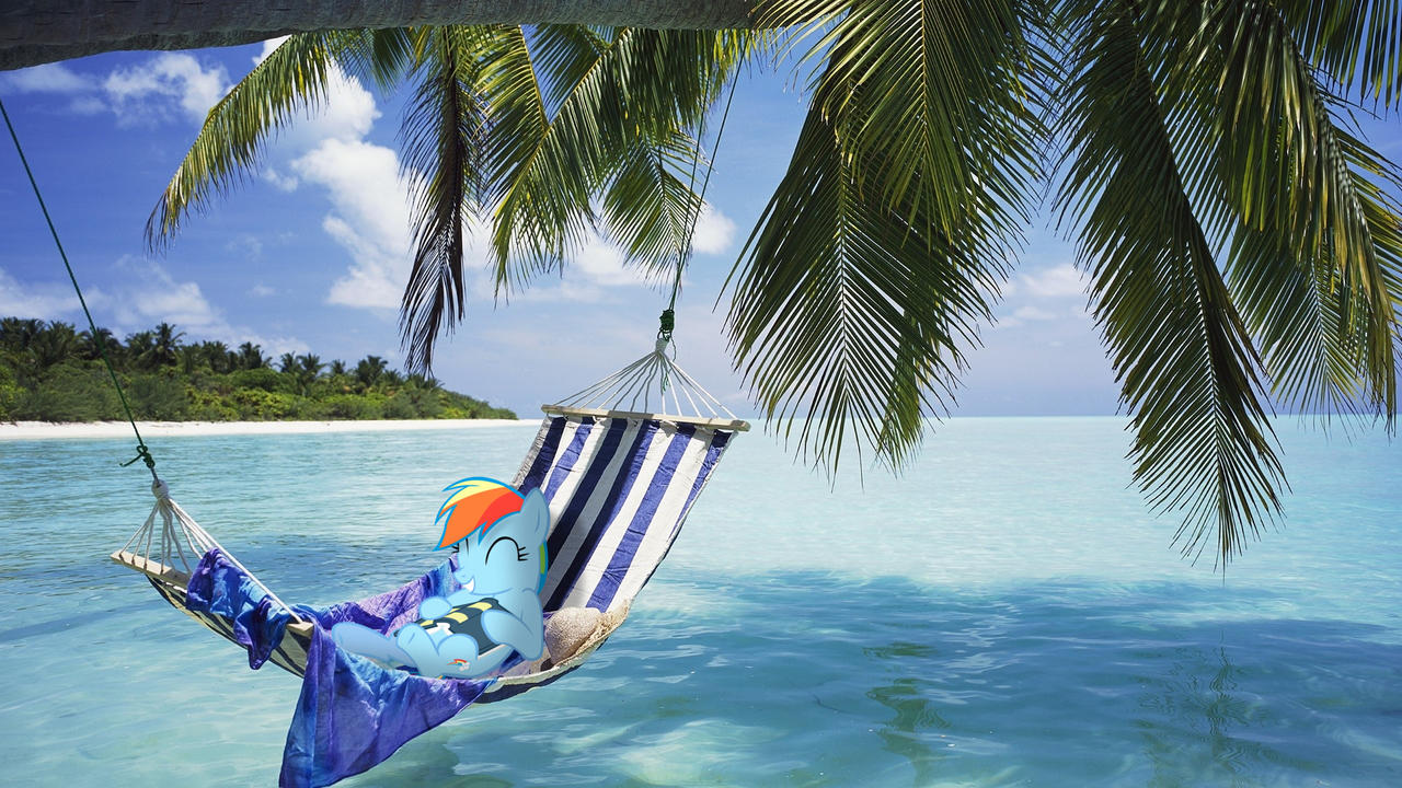 Rainbow Dash On A Hammock Mlp In Real Life By Stormxf3 On Deviantart Rainbow Dash On A Hammock Mlp In Real Life By Stormxf3 On Deviantart