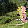 Fluttershy embracing nature