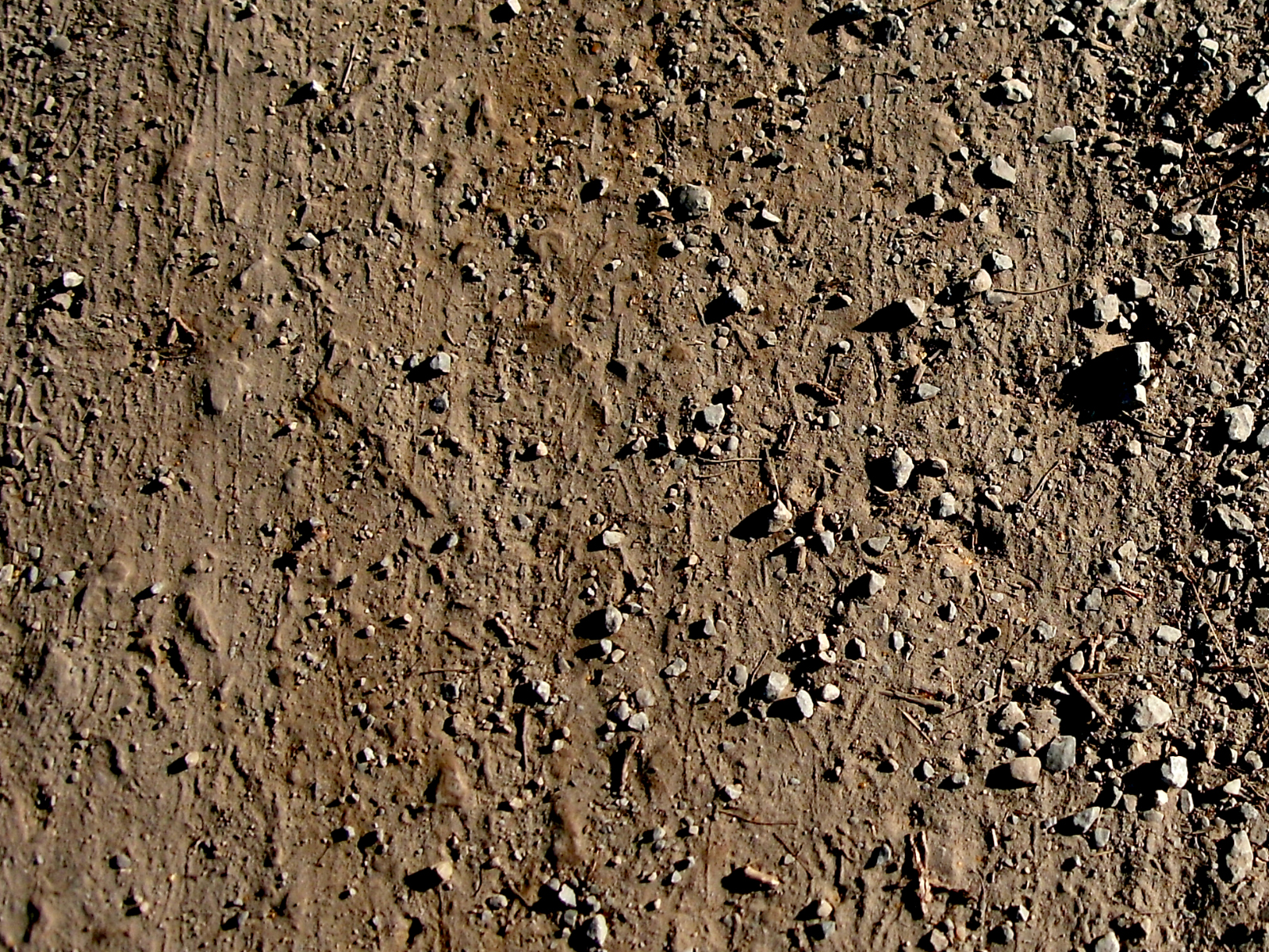 Dirt Road Texture (Stock)