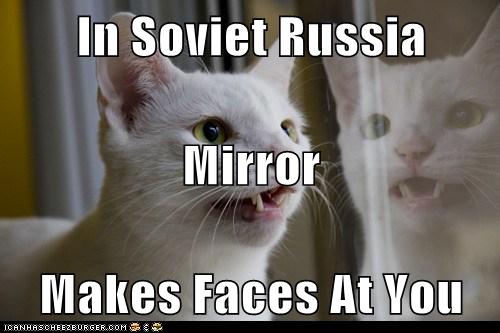 Soviet Russia Cat