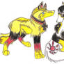 APH Germany and Japan Wolves NEW DESIGN