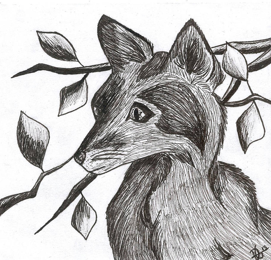 Fox Ink Drawing Pen and Ink Fox by DeactivatedUSERTHE on DeviantArt
