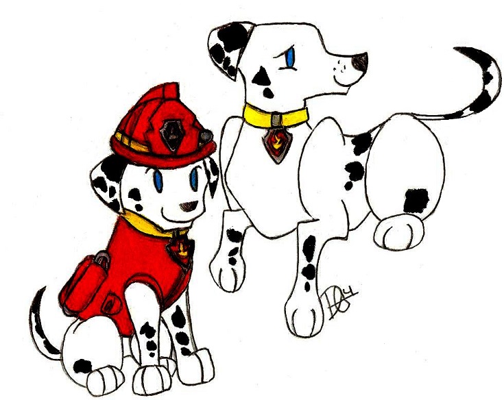 PAW Patrol Marshall