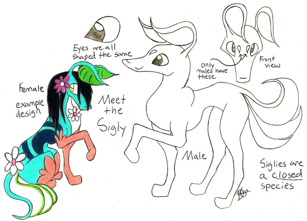 Sigly Species *Ref Sheet*