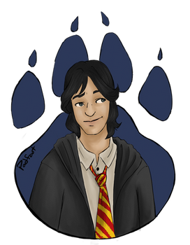 Marauders 2 of 4 - Padfoot