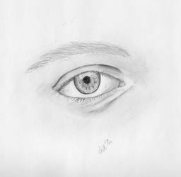 Study of an Eye