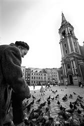 The Old Lady and The Pigeons