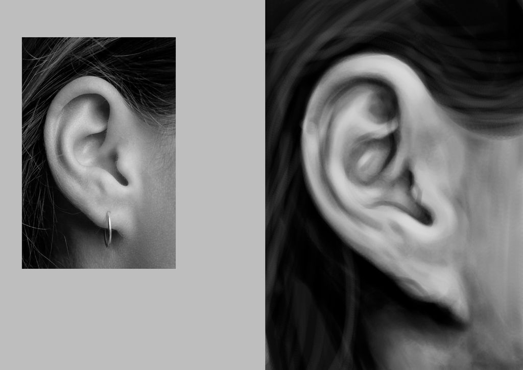 Red Realistic Ear Realistic Ear by DeannaPhantom13 on DeviantArt