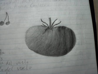 sketch of a tomato