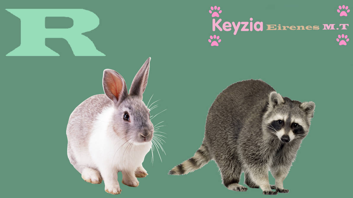 Animal ABC Month - Letter R by Keyziathana2009 on DeviantArt