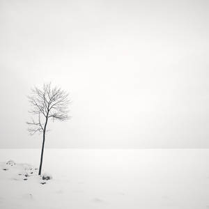 Frozen Gulf of Finland 1