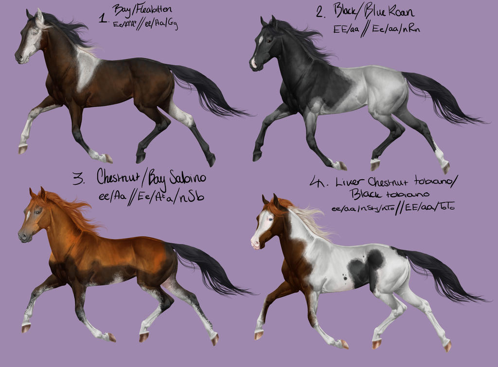Blue Roan Chimera No.3