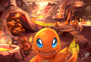 Welcome to Charmander Stove