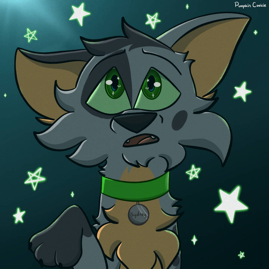 Stars by PumpkinCookie269 on DeviantArt