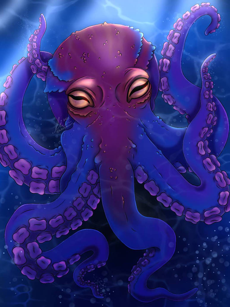 Sus Octopus Octopus by Pasteldinosuarr on DeviantArt