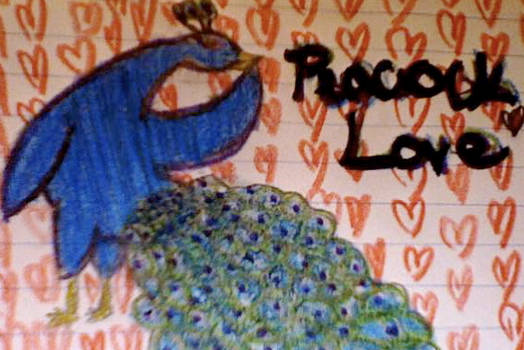 Peacock Love