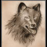 Lobo