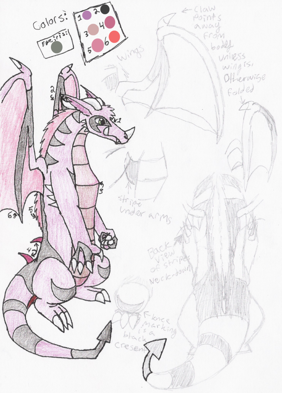 Dragon OC 1 Ref.