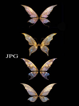 E-S Fairy wings JPG