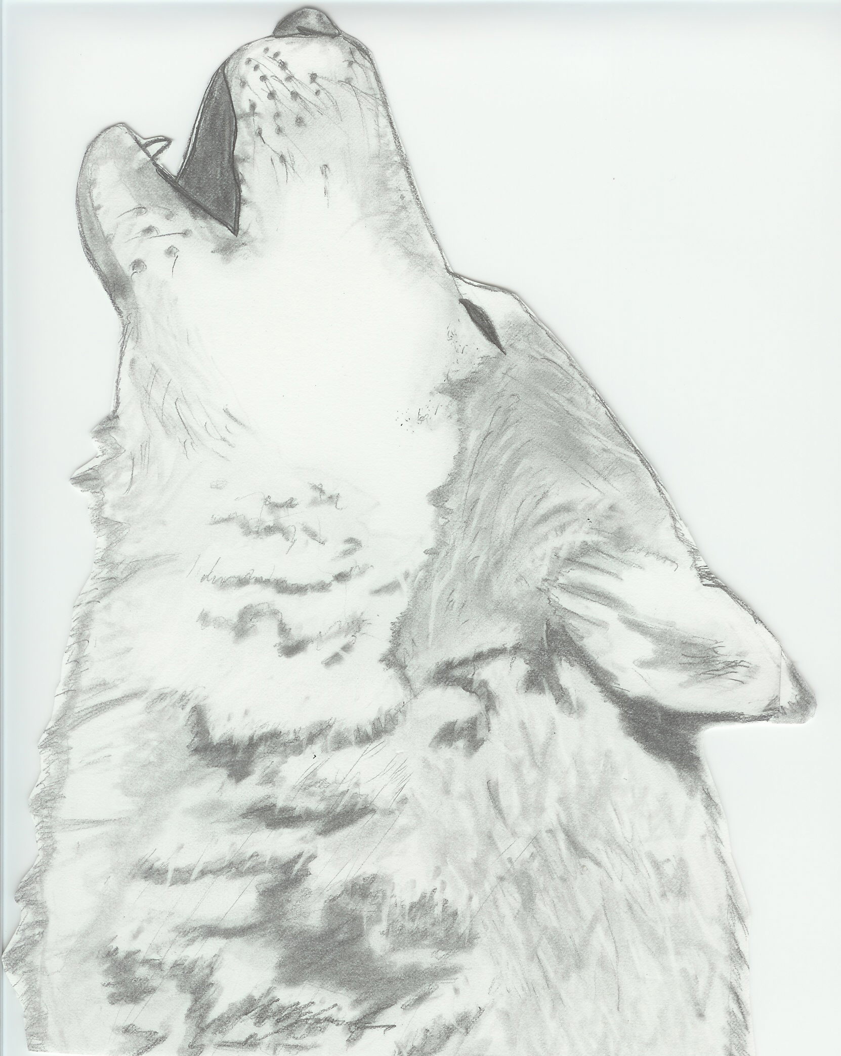 simple howling wolf drawing
