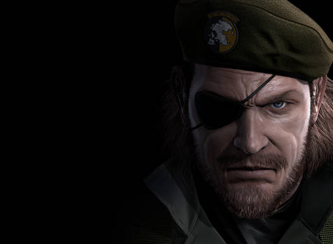 METAL GEAR NEXT: BIG BOSS 2009