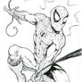 Spider Man ....commish
