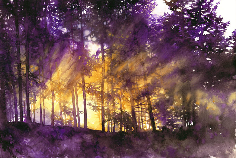 Light Through the Purple Trees